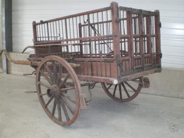 cha19a.jpg